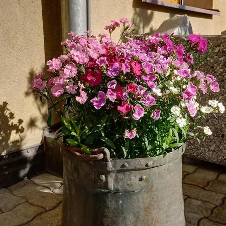 Chesa Munteratsch 1-zimmerwohnung 206 Typ B Silvaplana