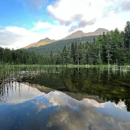 Lägenhet Chesa Munteratsch 1-zimmerwohnung 206 Typ B *