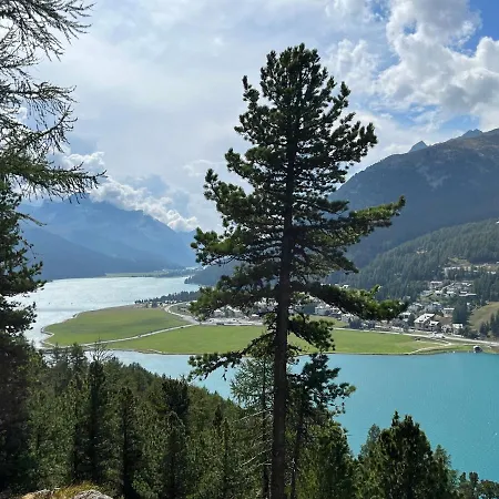 Chesa Munteratsch 1-zimmerwohnung 206 Typ B Lägenhet Silvaplana