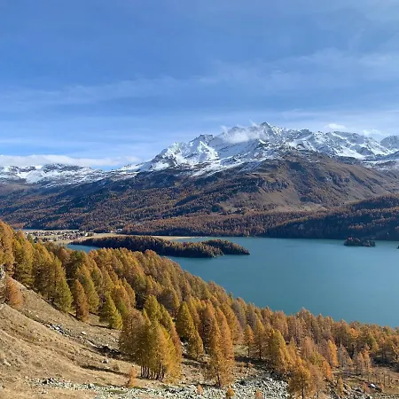Chesa Munteratsch 1-zimmerwohnung 206 Typ B *
