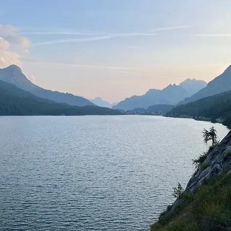 Chesa Munteratsch 1-zimmerwohnung 206 Typ B * Silvaplana