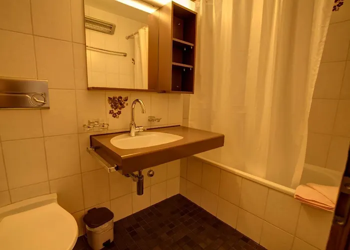 Chesa Munteratsch 1-zimmerwohnung 206 Typ B Silvaplana