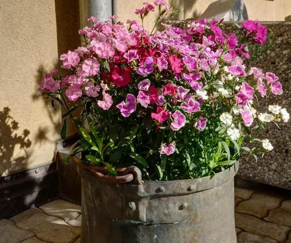 Chesa Munteratsch 1-zimmerwohnung 206 Typ B Silvaplana