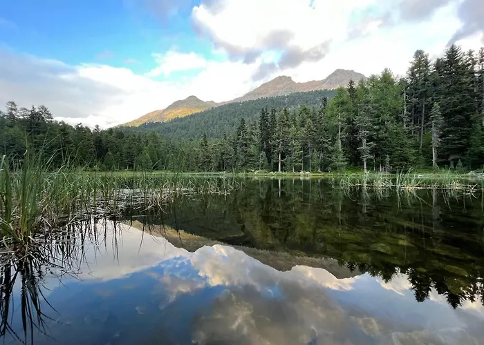 Apartman Chesa Munteratsch 1-zimmerwohnung 206 Typ B *