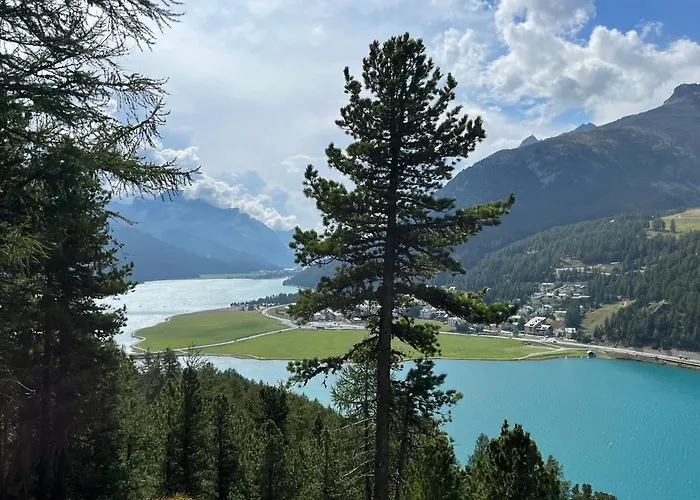 Chesa Munteratsch 1-zimmerwohnung 206 Typ B Apartman Silvaplana