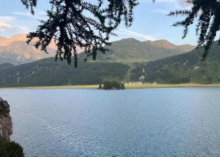 Chesa Munteratsch 1-zimmerwohnung 206 Typ B Apartman Silvaplana