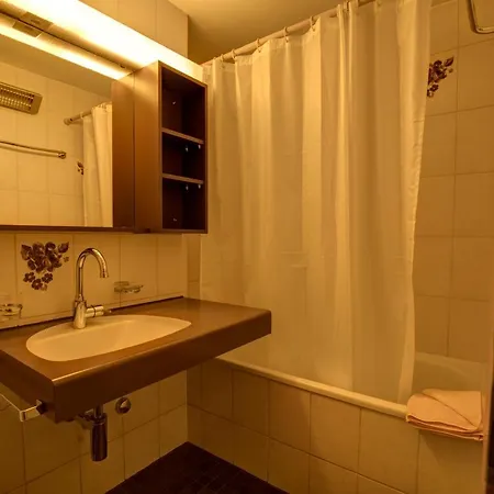 Chesa Munteratsch 1-zimmerwohnung 206 Typ B * Silvaplana