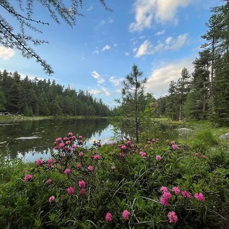 Chesa Munteratsch 1-zimmerwohnung 206 Typ B Silvaplana