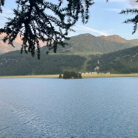 Chesa Munteratsch 1-zimmerwohnung 206 Typ B Apartamento Silvaplana